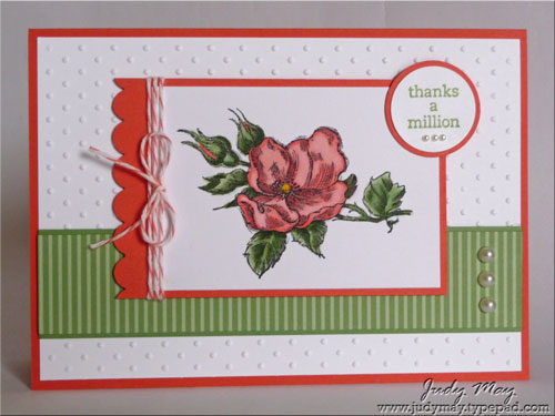 Freshly_Made_88 Freshly_Made_88