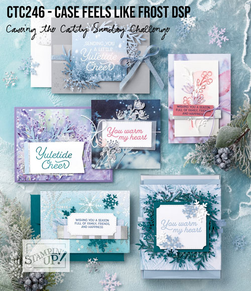 CTC246_Banner CTC246_Banner